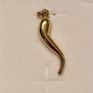 14K Gold Horn Cornicello Pendant